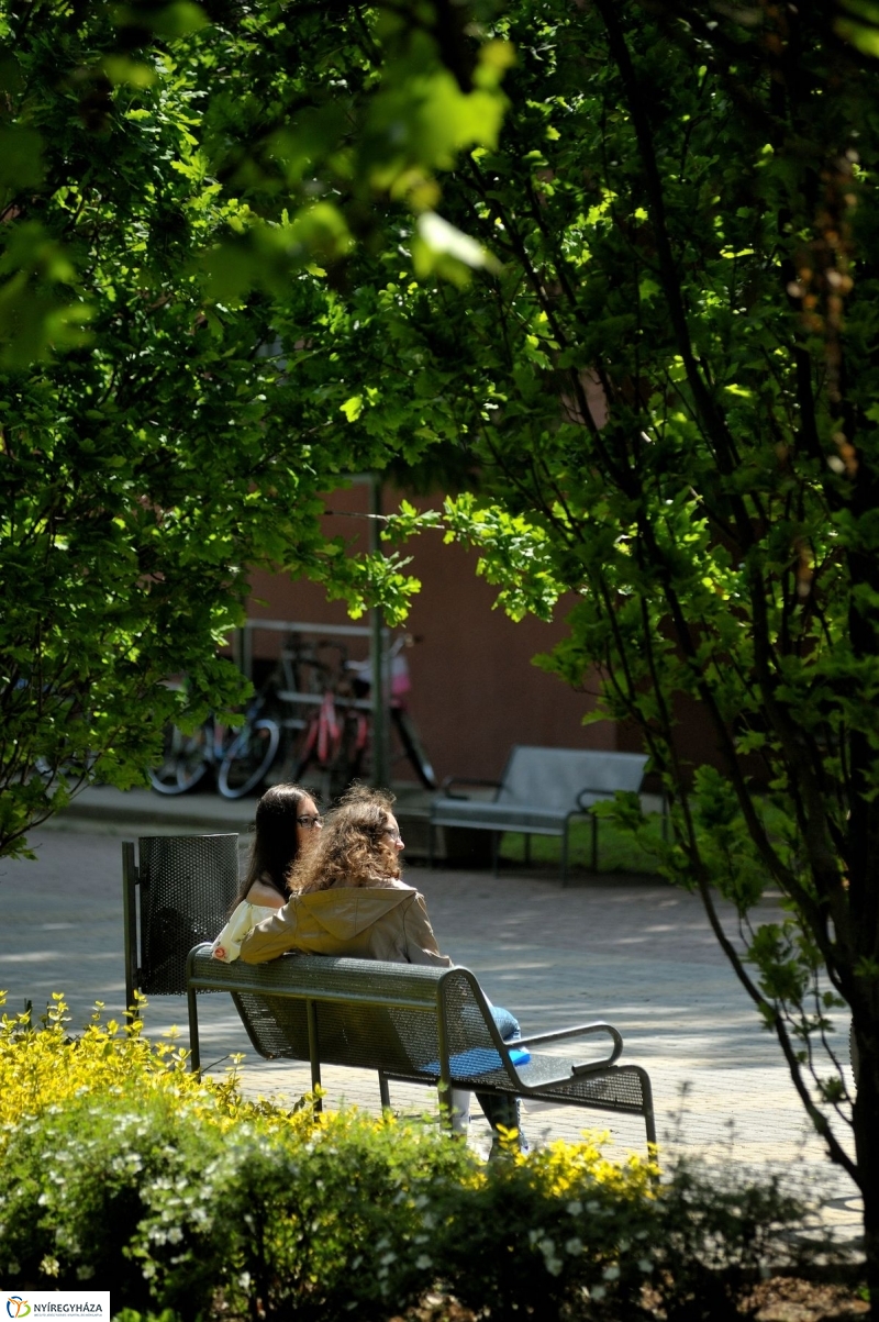 Jubileumi könyvbemutató az egyetemen - fotó Szarka Lajos