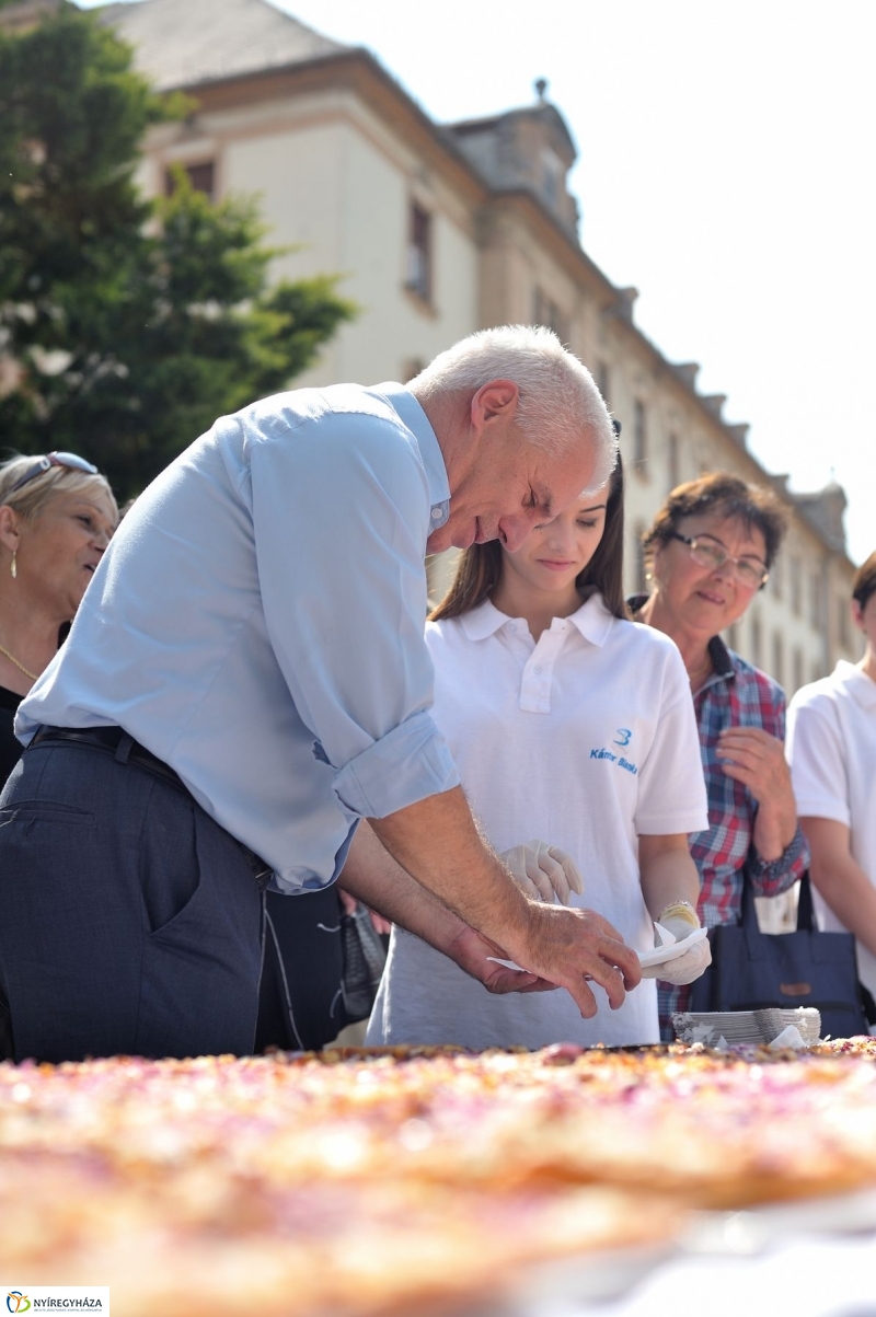 Városnap 2017 délután - fotó Szarka Lajos