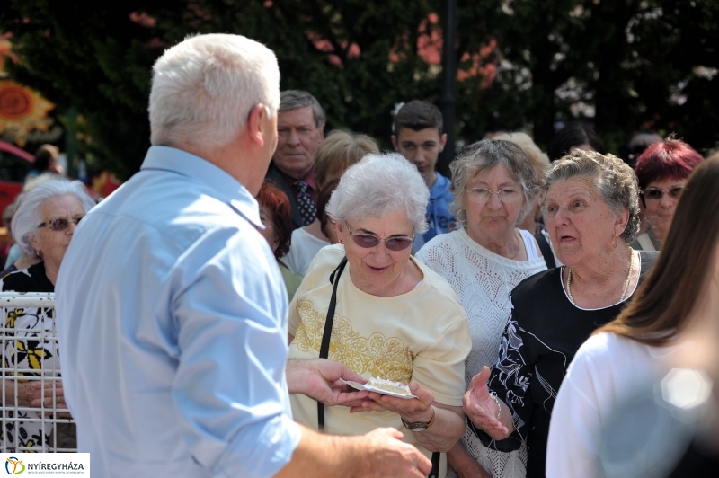 Városnap 2017 délután - fotó Szarka Lajos