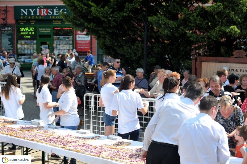 Városnap 2017 délután - fotó Szarka Lajos