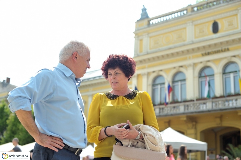 Városnap 2017 délután - fotó Szarka Lajos