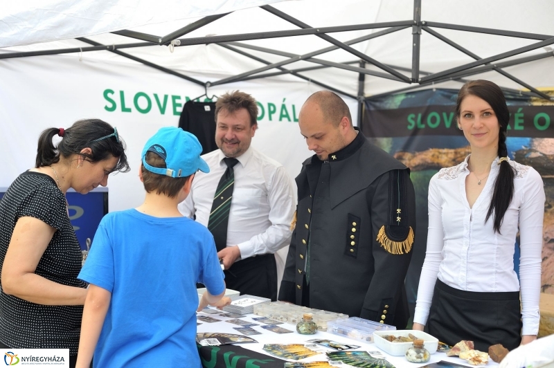 Városnap 2017 délután - fotó Szarka Lajos