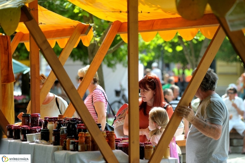 Városnap 2017 délután - fotó Szarka Lajos