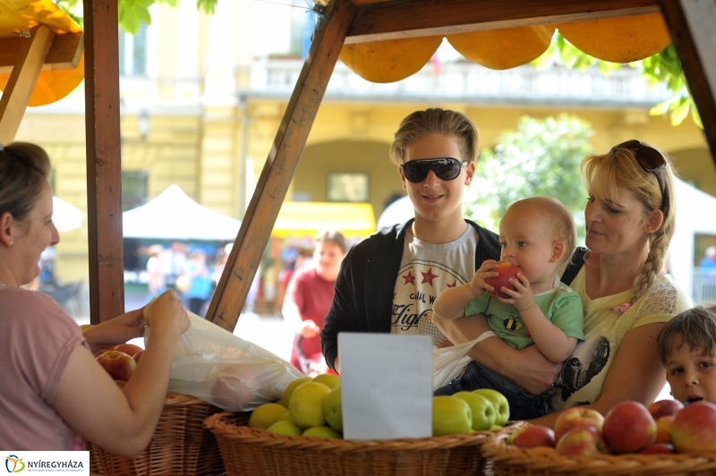 Városnap 2017 délután - fotó Szarka Lajos