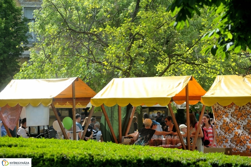 Városnap 2017 délután - fotó Szarka Lajos
