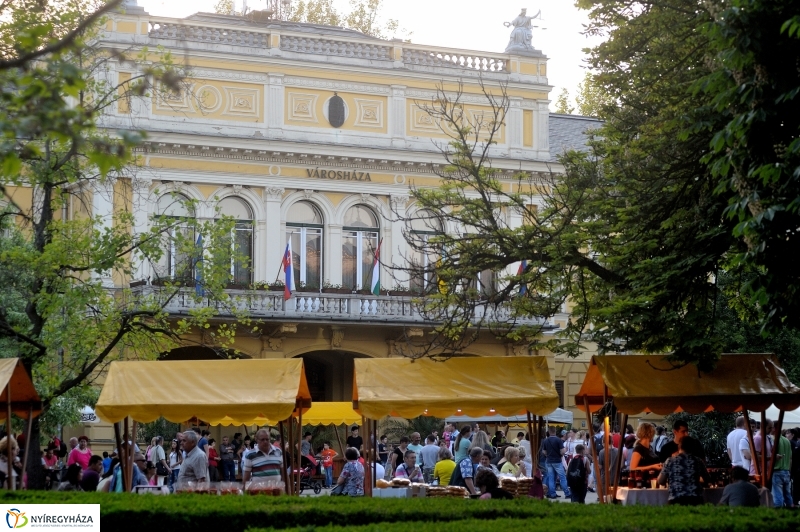 Városnap 2017 esti koncertek - fotó Szarka Lajos