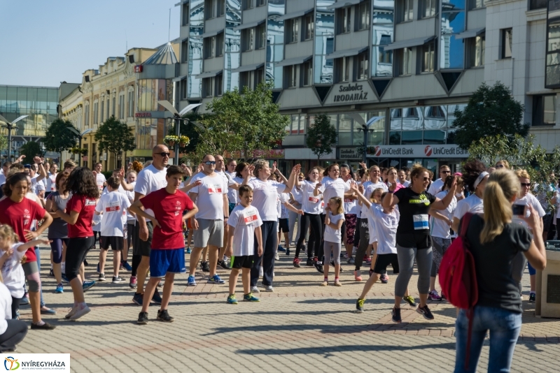 Electrolux futás 1- fotó Barta Sándor
