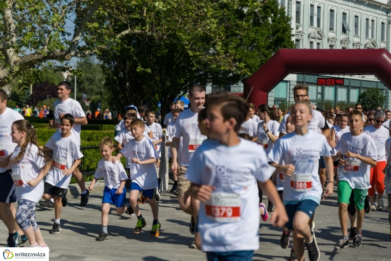Electrolux futás 1- fotó Barta Sándor