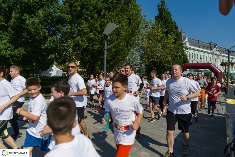 Electrolux futás 1- fotó Barta Sándor