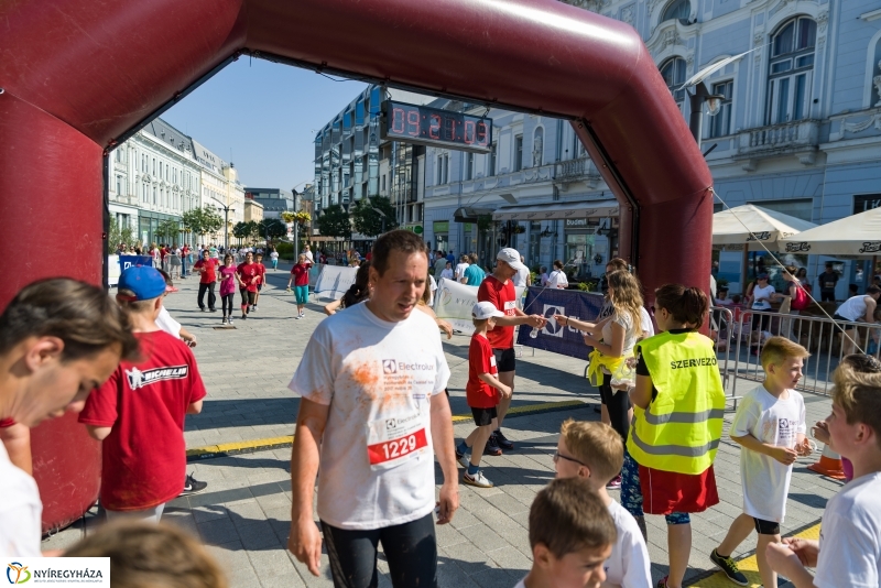 Electrolux futás 3 - fotó Barta Sándor