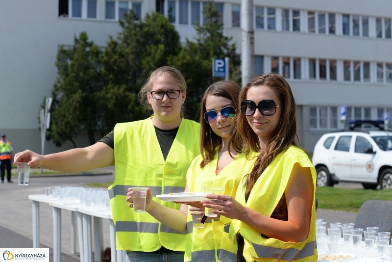 Electrolux futás 5 - fotó Trifonov Éva