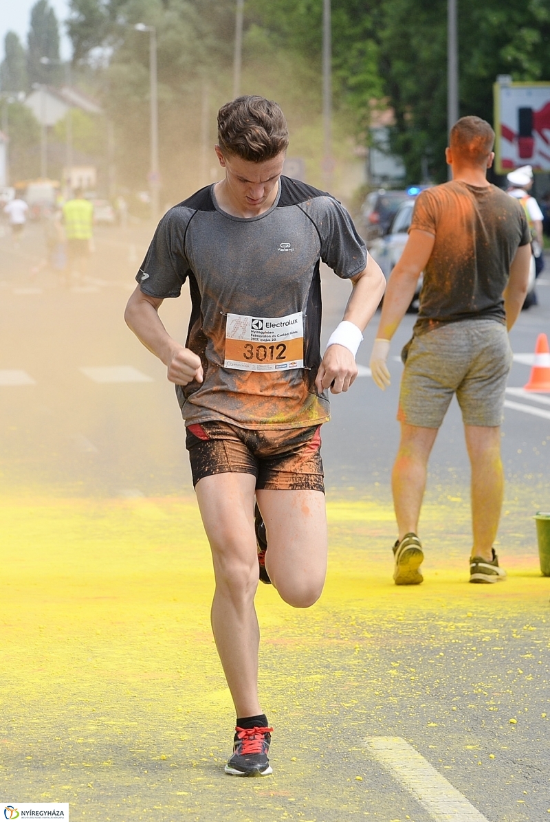 Electrolux futás 5 - fotó Trifonov Éva