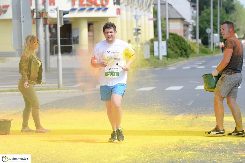 Electrolux futás 6 - fotó Trifonov Éva