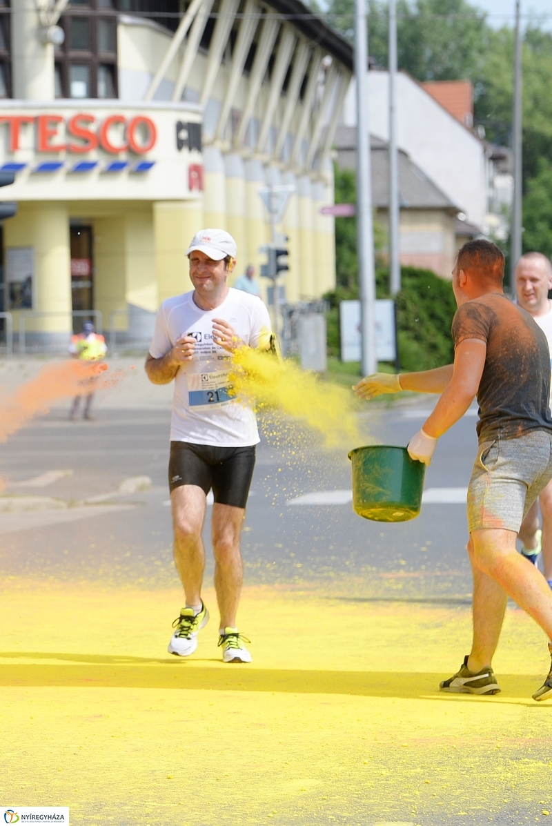 Electrolux futás 7 - fotó Trifonov Éva