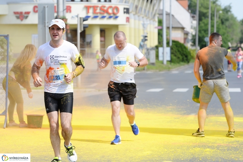 Electrolux futás 7 - fotó Trifonov Éva