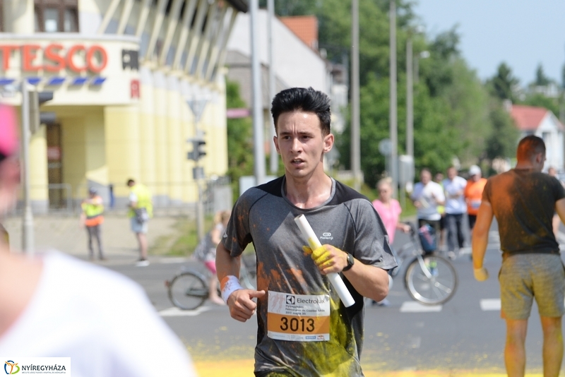 Electrolux futás 8 - fotó Trifonov Éva