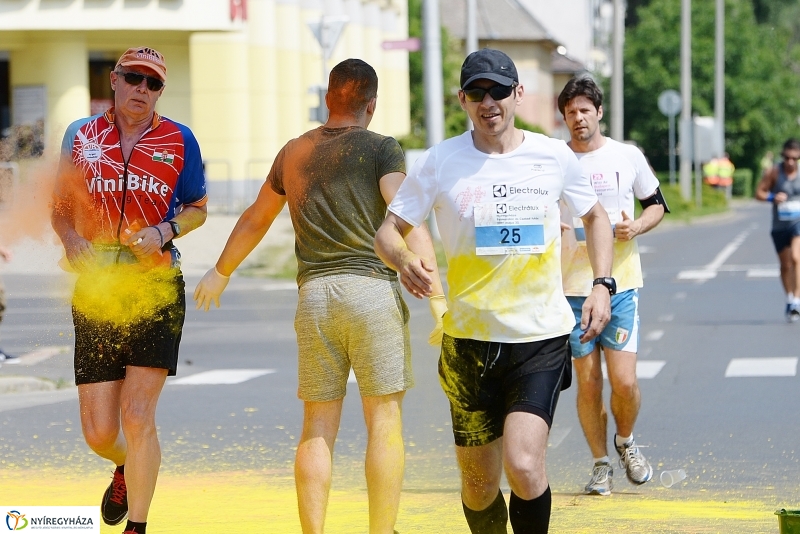 Electrolux futás 9 - fotó Trifonov Éva