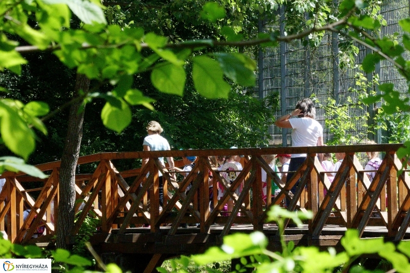 Gyarapodott az Állatpark - fotó Szarka Lajos
