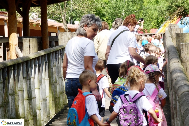 Gyarapodott az Állatpark - fotó Szarka Lajos