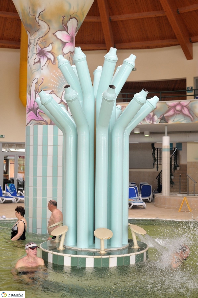 Táblaavatás az élményfürdőben - fotó Szarka Lajos