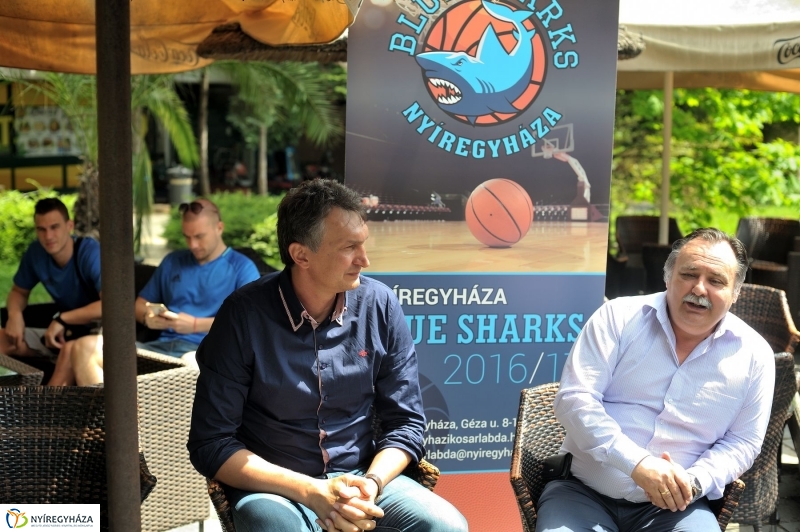 Örökbe fogadták a cápát a cápák - fotó Szarka Lajos