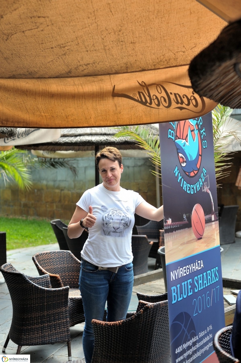 Örökbe fogadták a cápát a cápák - fotó Szarka Lajos