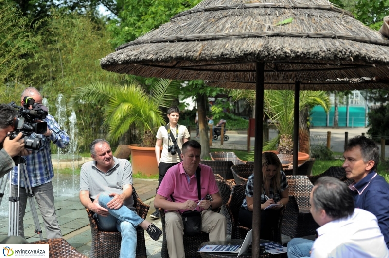 Örökbe fogadták a cápát a cápák - fotó Szarka Lajos