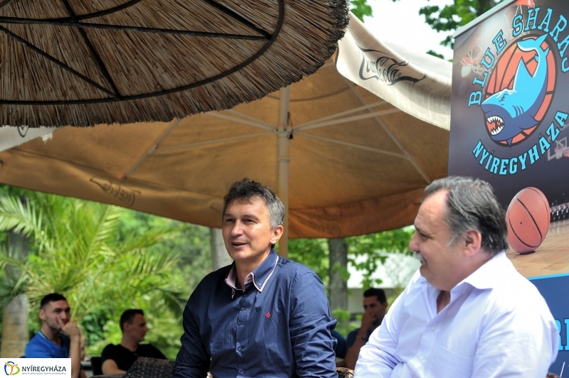 Örökbe fogadták a cápát a cápák - fotó Szarka Lajos