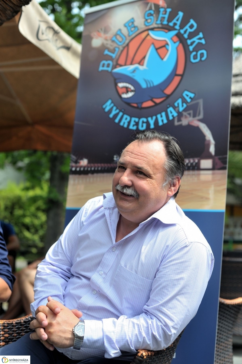 Örökbe fogadták a cápát a cápák - fotó Szarka Lajos