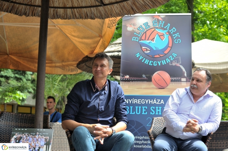 Örökbe fogadták a cápát a cápák - fotó Szarka Lajos