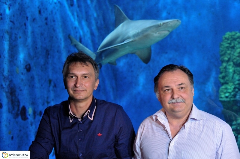 Örökbe fogadták a cápát a cápák - fotó Szarka Lajos