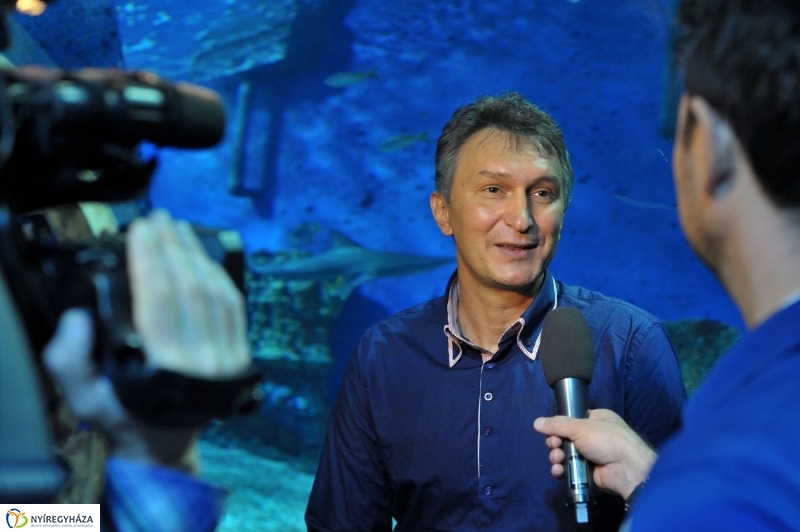 Örökbe fogadták a cápát a cápák - fotó Szarka Lajos