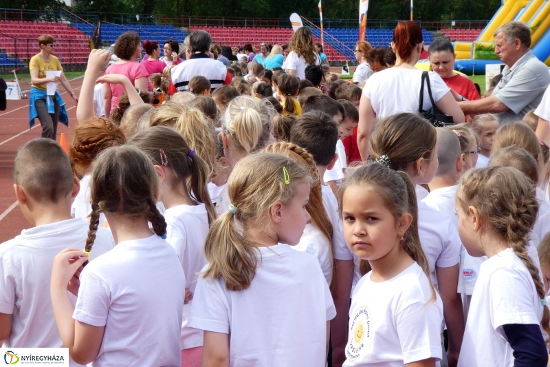 Oviverseny a stadionban - fotó Szarka Lajos