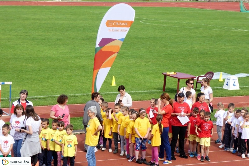 Oviverseny a stadionban - fotó Szarka Lajos