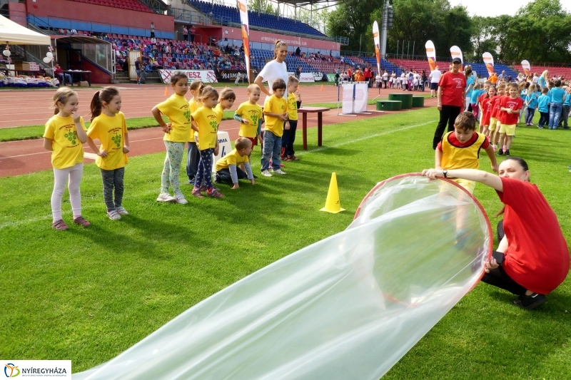 Oviverseny a stadionban - fotó Szarka Lajos