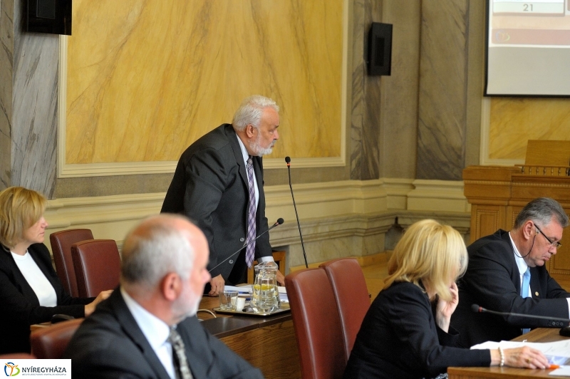Városi Közgyűlés 20170525 - fotó Szarka Lajos