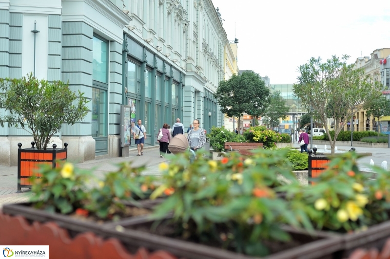 Belvárosi séta - fotó Szarka Lajos