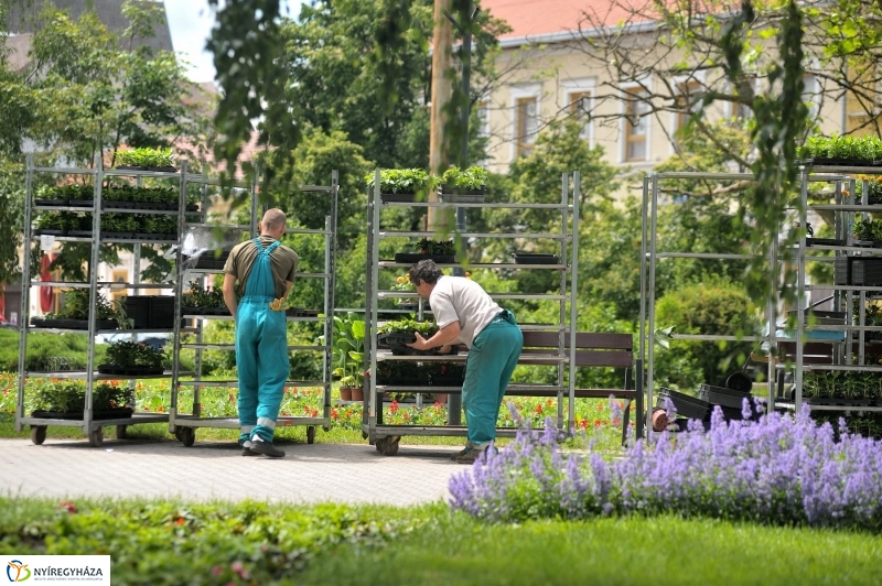 Belvárosi séta - fotó Szarka Lajos