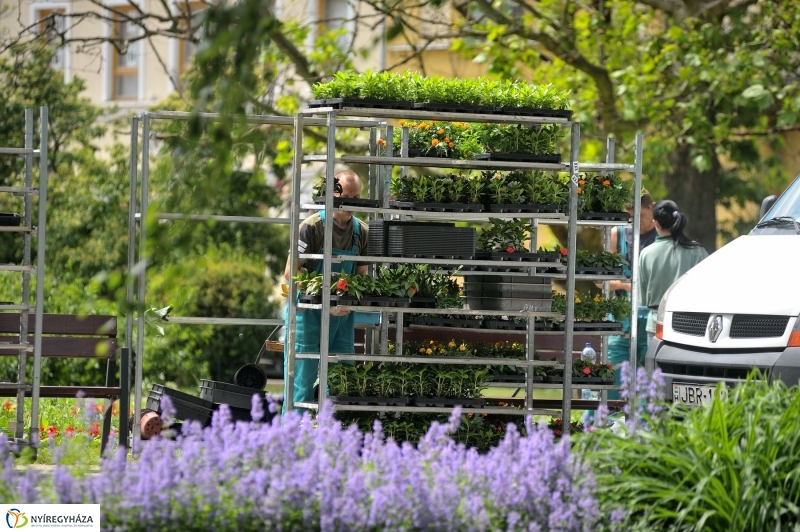 Belvárosi séta - fotó Szarka Lajos