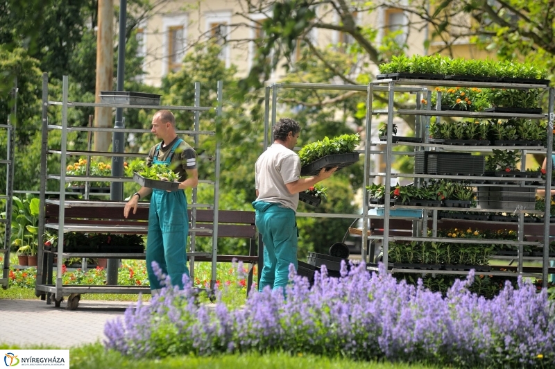 Belvárosi séta - fotó Szarka Lajos