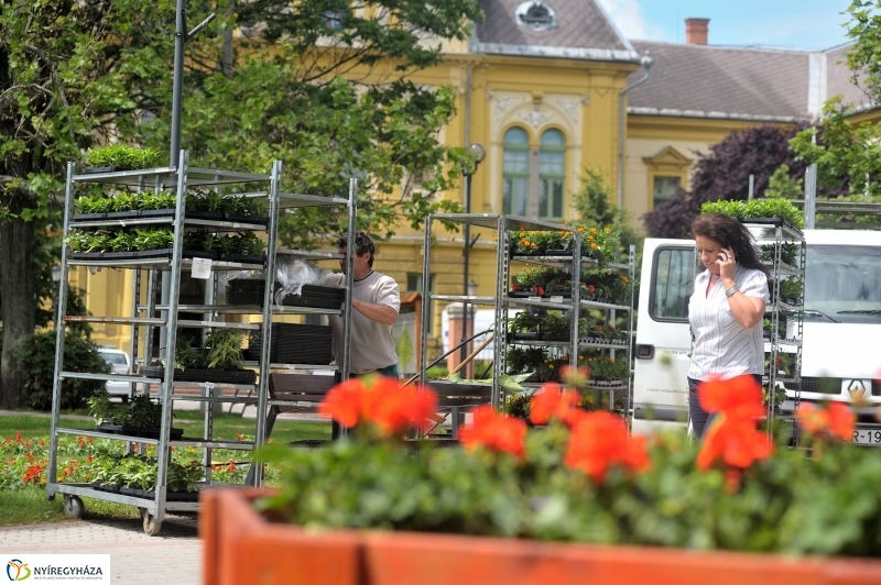 Belvárosi séta - fotó Szarka Lajos