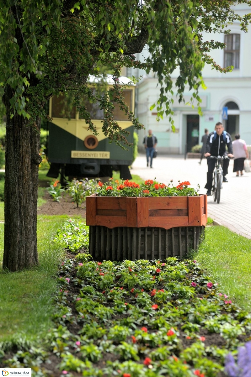 Belvárosi séta - fotó Szarka Lajos