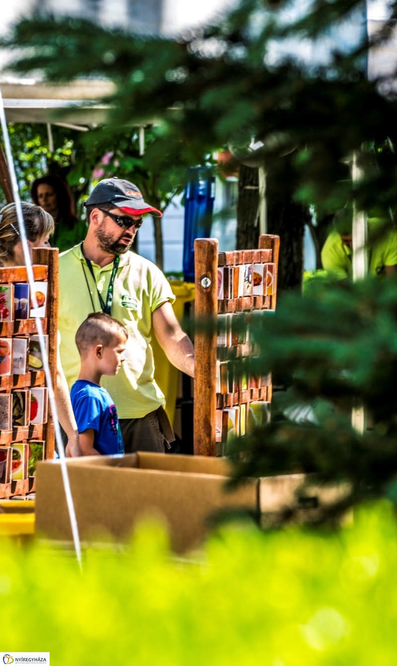 Szelektív Szombat 2017 - Előkészületek és megnyitó