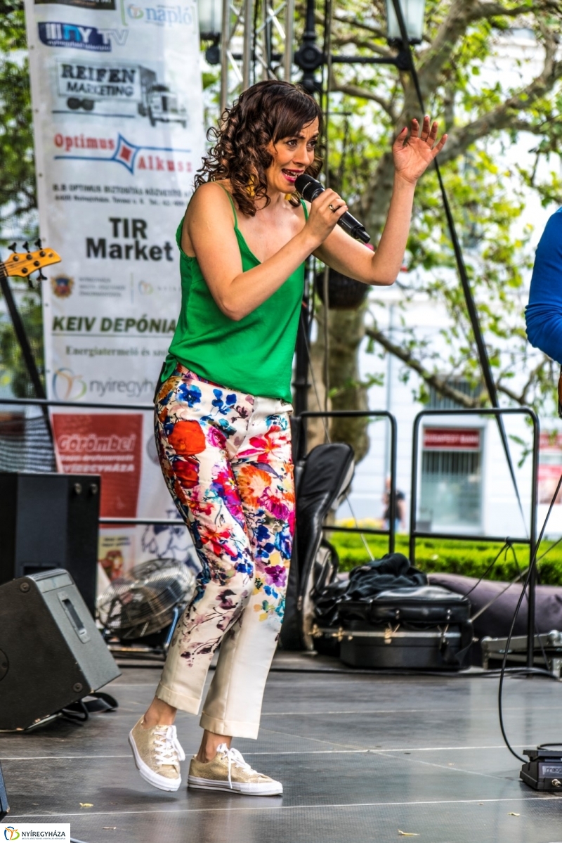 Szelektív Szombat 2017 - Előkészületek és megnyitó