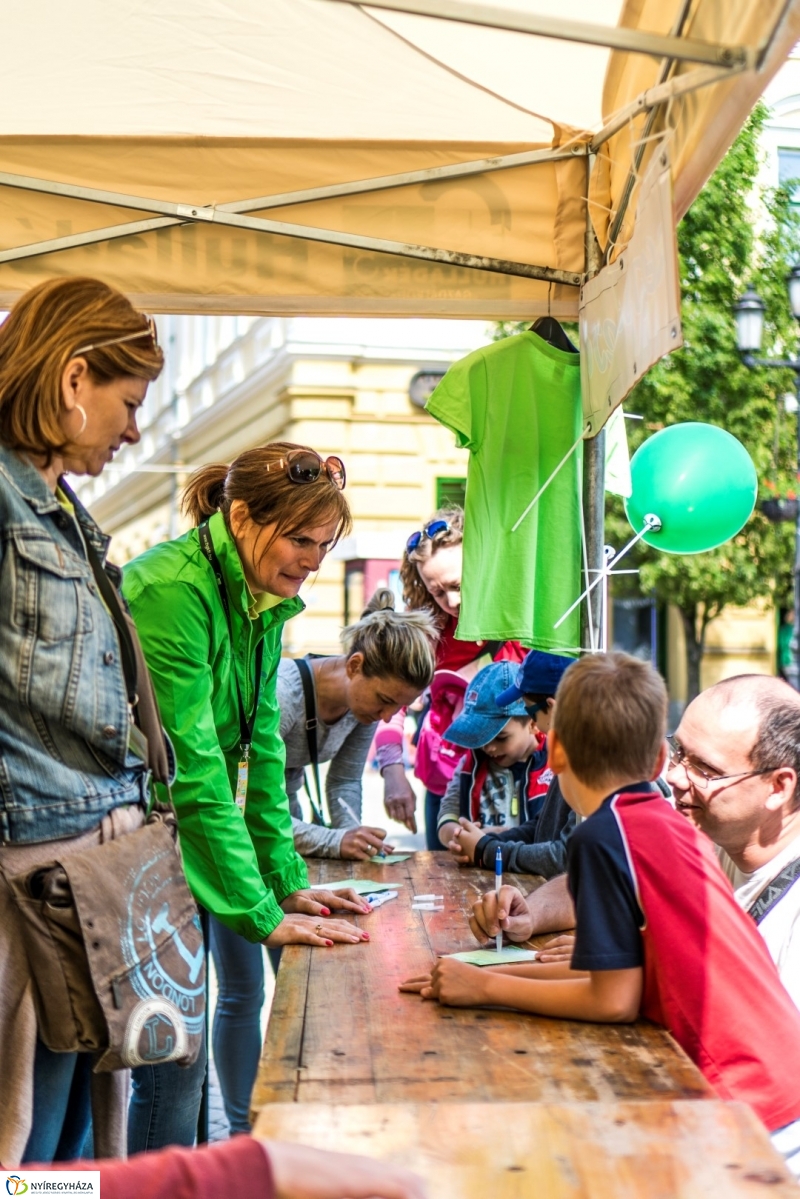 Szelektív Szombat 2017 - Előkészületek és megnyitó