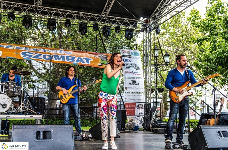 Szelektív Szombat 2017 - Előkészületek és megnyitó