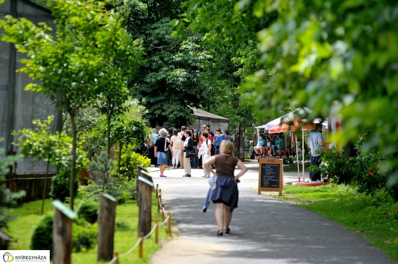 Állatparki fejlesztések sajtótájékoztató - fotó Szarka Lajos