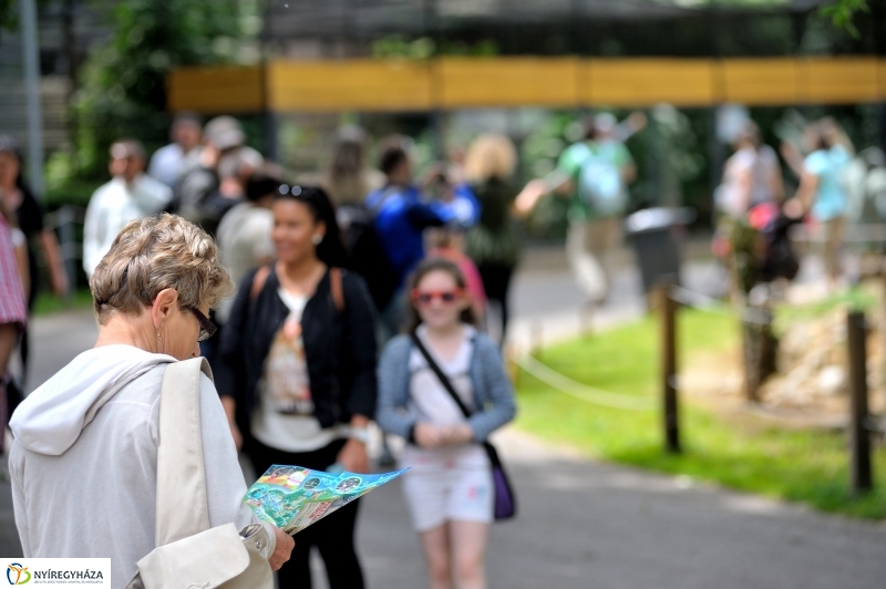 Állatparki fejlesztések sajtótájékoztató - fotó Szarka Lajos