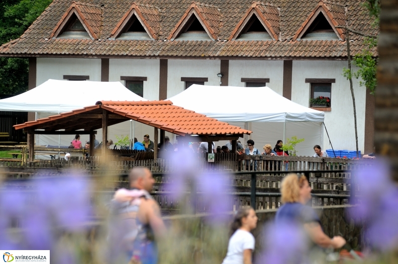 Állatparki fejlesztések sajtótájékoztató - fotó Szarka Lajos