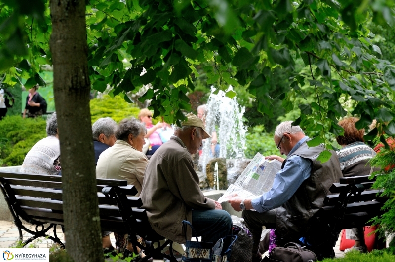 Állatparki fejlesztések sajtótájékoztató - fotó Szarka Lajos